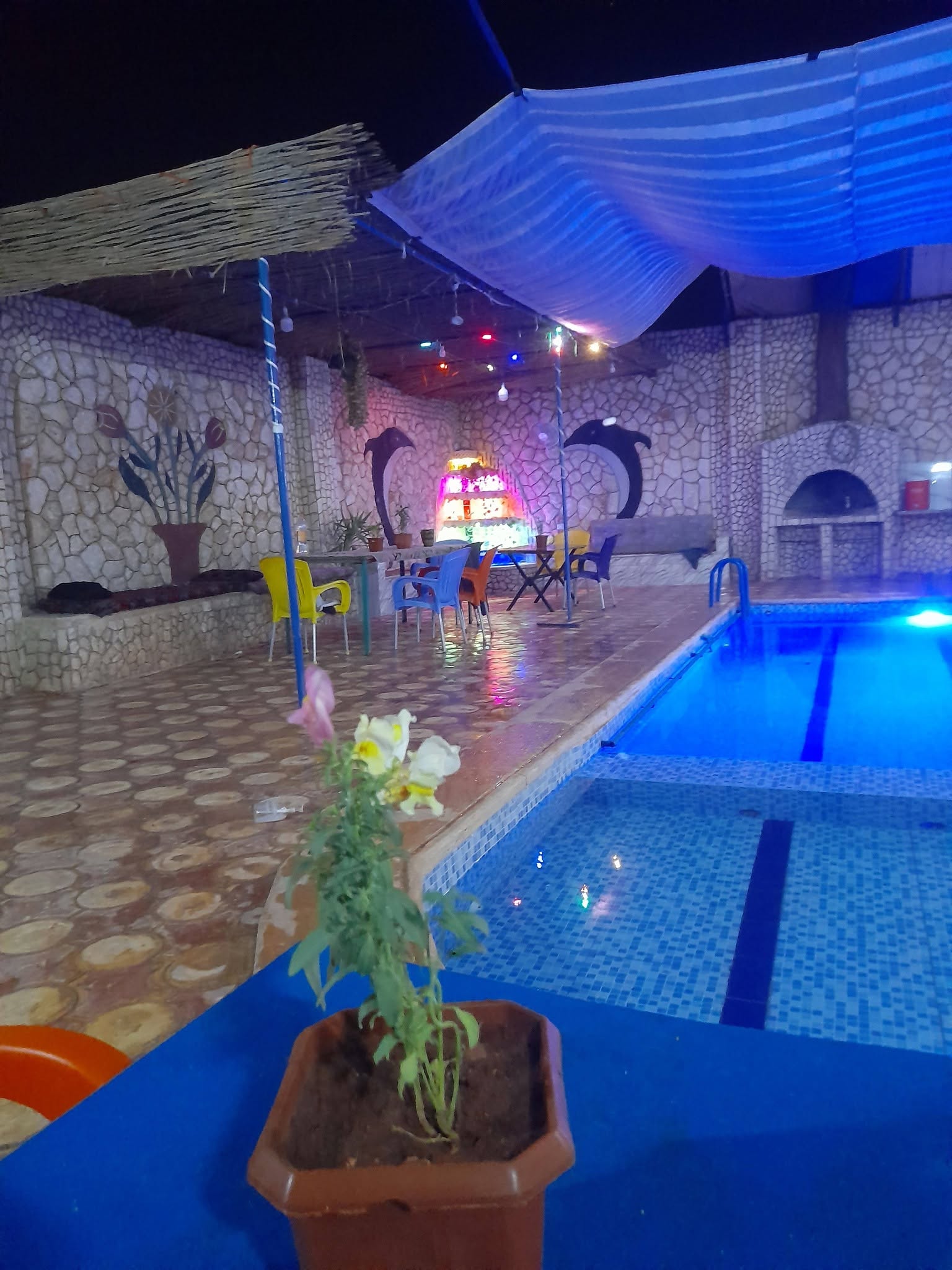 مسبح الصناع