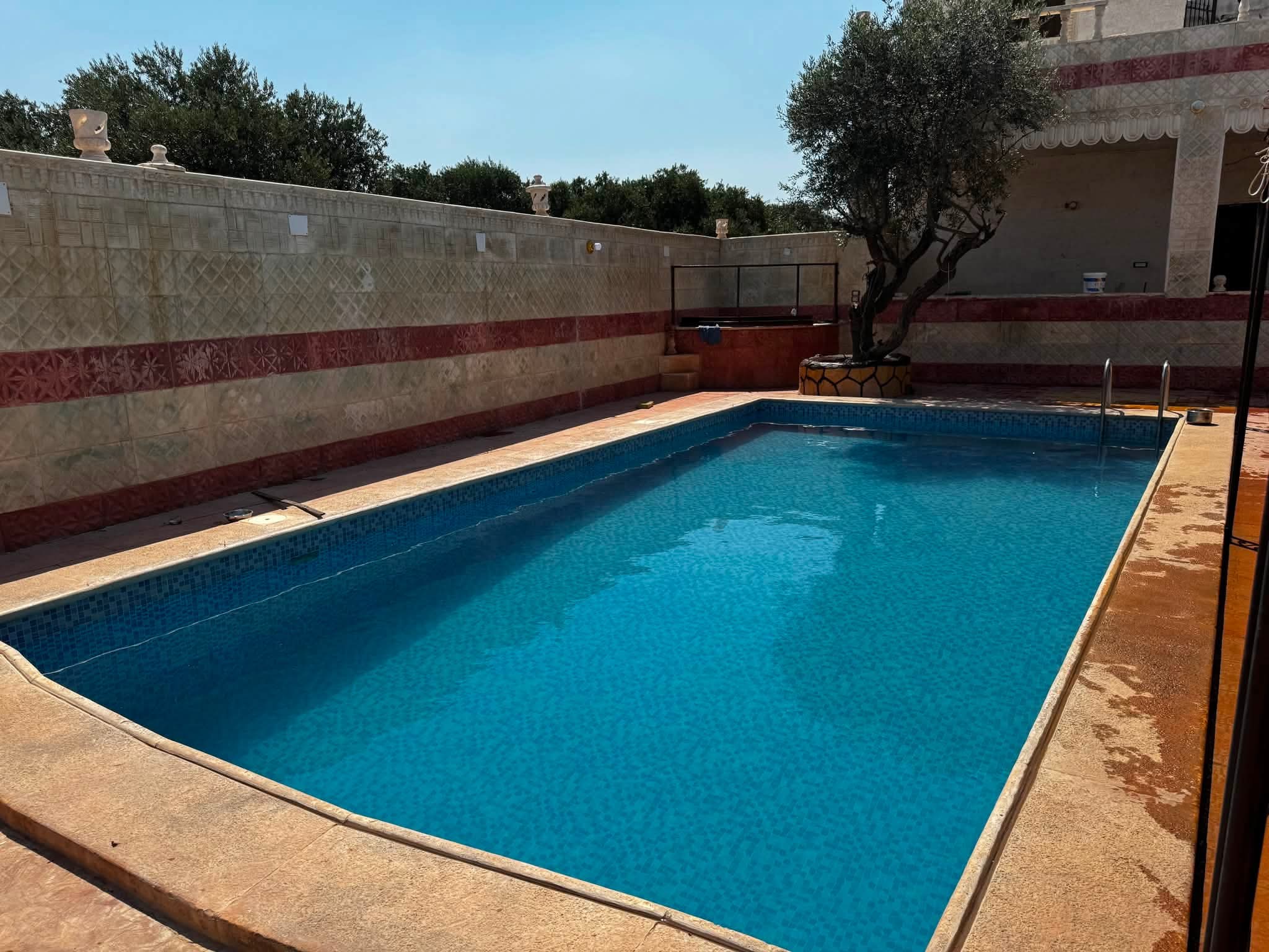 مسبح الجواد